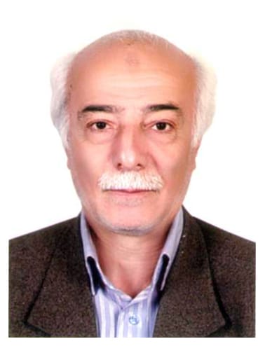 محمد تقی هراتی مطلق